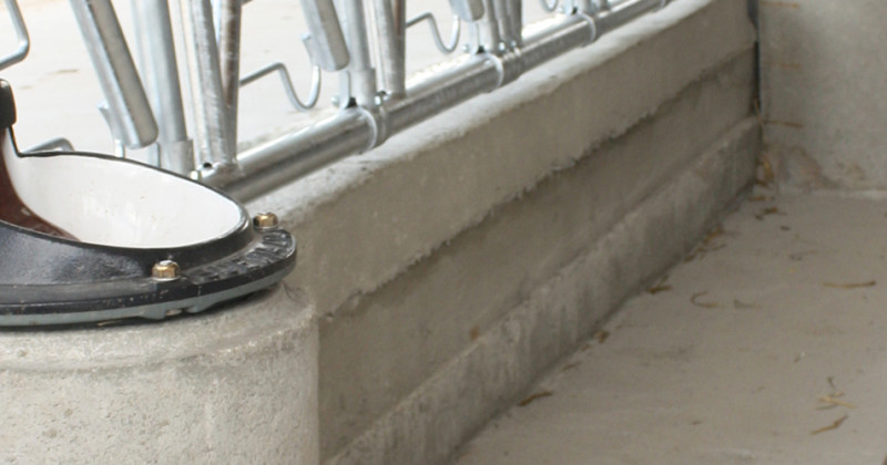 POURQUOI INVESTIR DANS UN BON ABREUVOIR CHAUFFANT OU ANTIGEL 