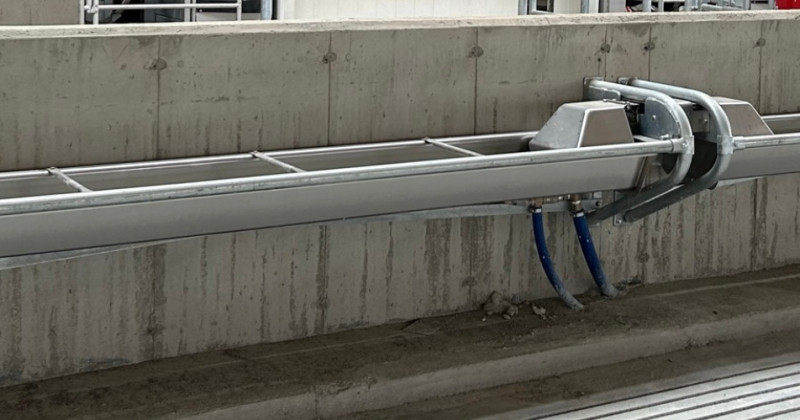 ABREUVOIR POUR VACHE : DE L’EAU EN ABONDANCE