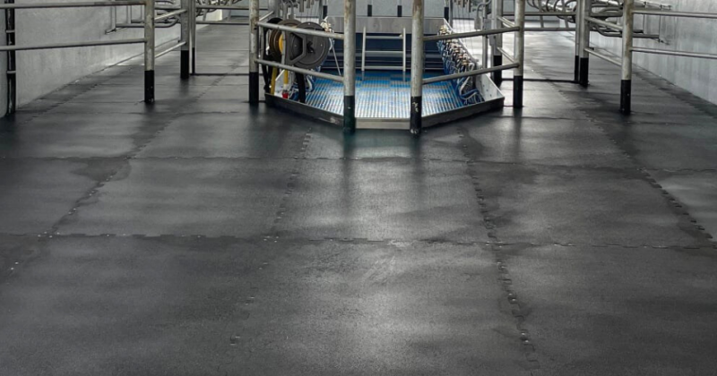 CE QUE VOUS DEVEZ SAVOIR AVANT D'ACHETER UN TAPIS POUR VACHES