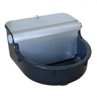 abreuvoir chauffant chien