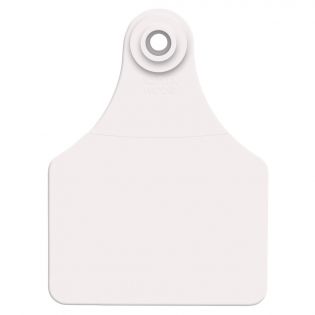 Étiquettes d'oreilles Global large pour bovin, blanc, pqt 25