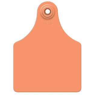 Attache femelle maxi pour vaches et veaux, orange vierge