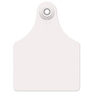 Attache femelle maxi pour vaches et veaux, blanc vierge