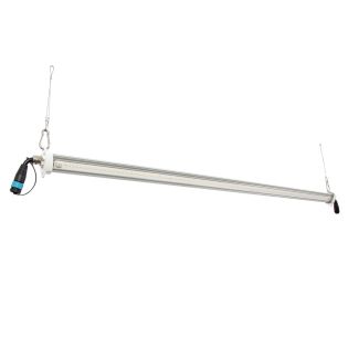 Lumière Led Vedgz Mid pour culture verticale, 75 W, 120-277V