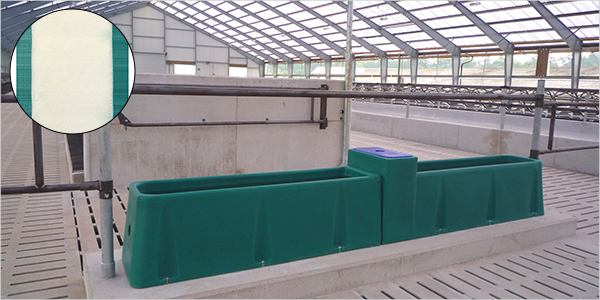 Frost-protected SUEVIA trough