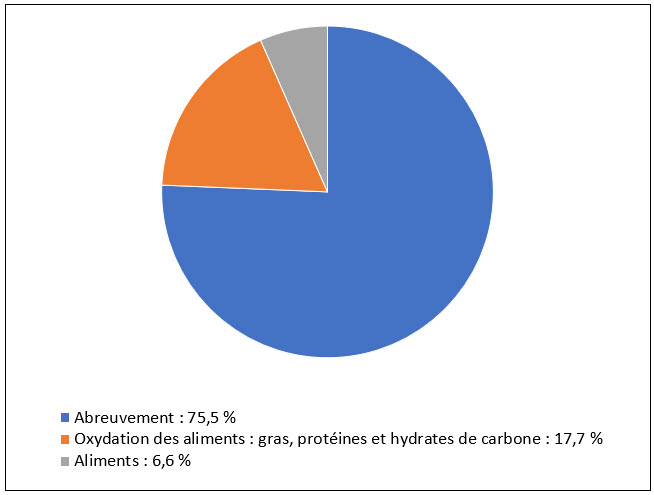source d'eau pour le porc